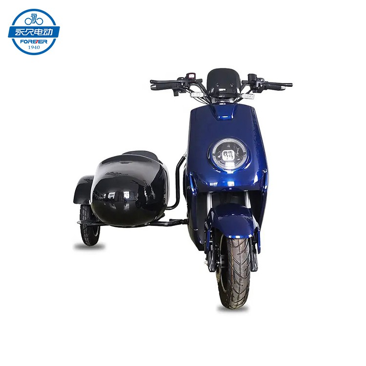 3 Wheel Electric Bike with Sidecar